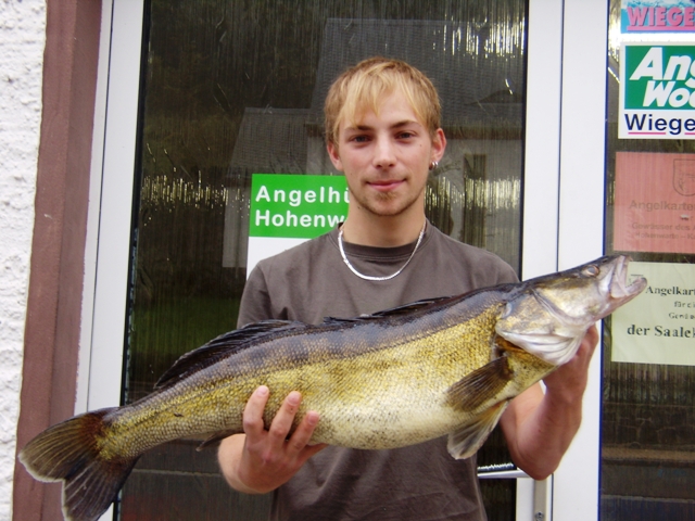 Karsten Hubrich -  Zander 
 85 cm 
 5.800g 
 Bleichloch TS 
 28.09.2011 